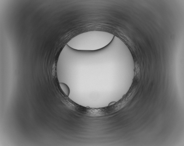 X0000116890189200912221011