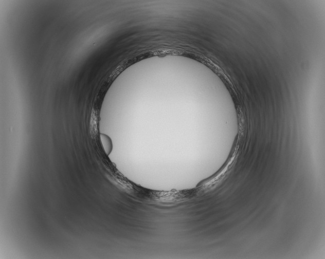 X0000116890191200912221011