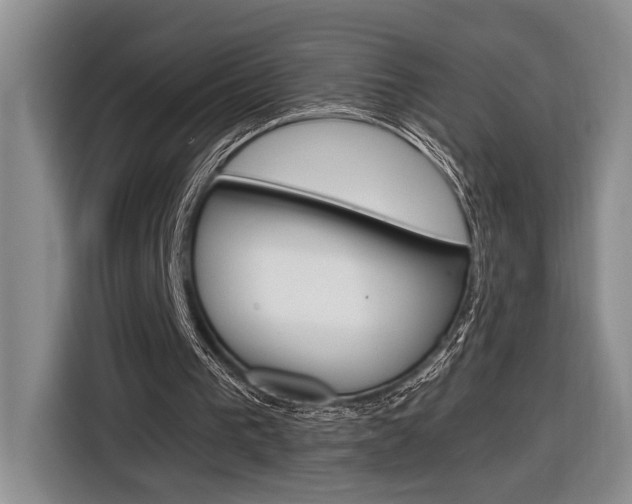 X0000116890193200912221011