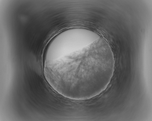 X0000116890194200912221011