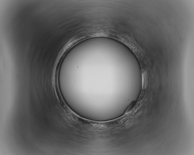 X0000116890195200912221011