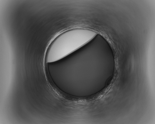X0000116890196200912221011