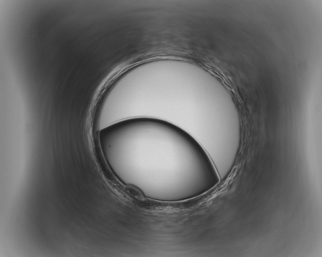 X0000116890197200912221011