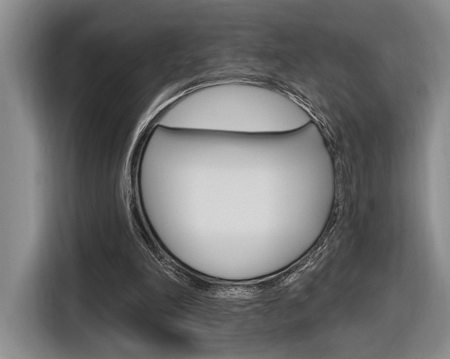 X0000116890198200912221011