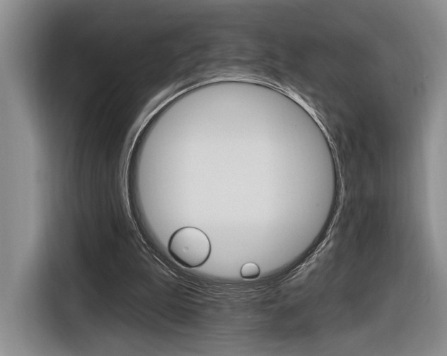 X0000116890199200912221011