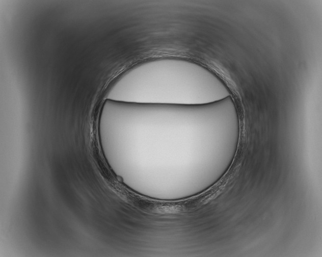 X0000116890202200912221011