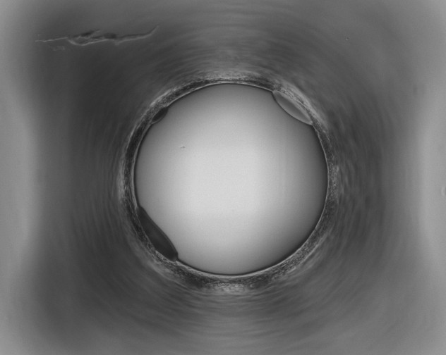 X0000116890203200912221011