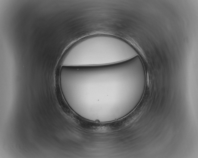 X0000116890204200912221011