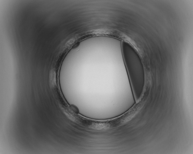 X0000116890205200912221011