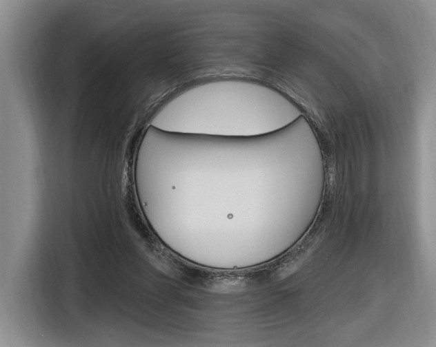 X0000116890206200912221011