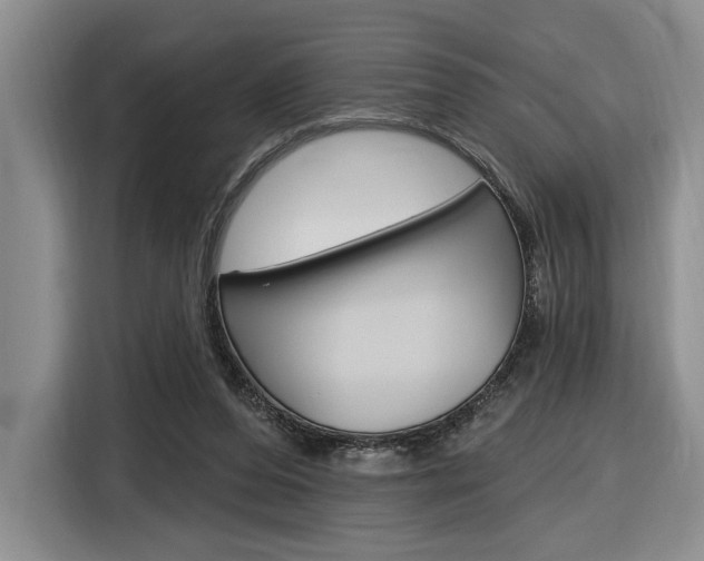 X0000116890208200912221011