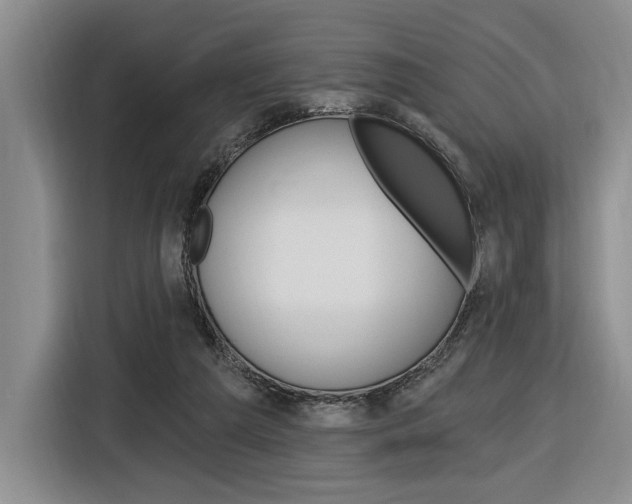 X0000116890209200912221011