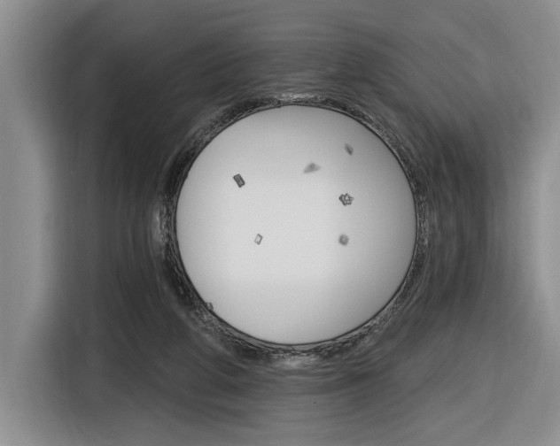 X0000116890210200912221011