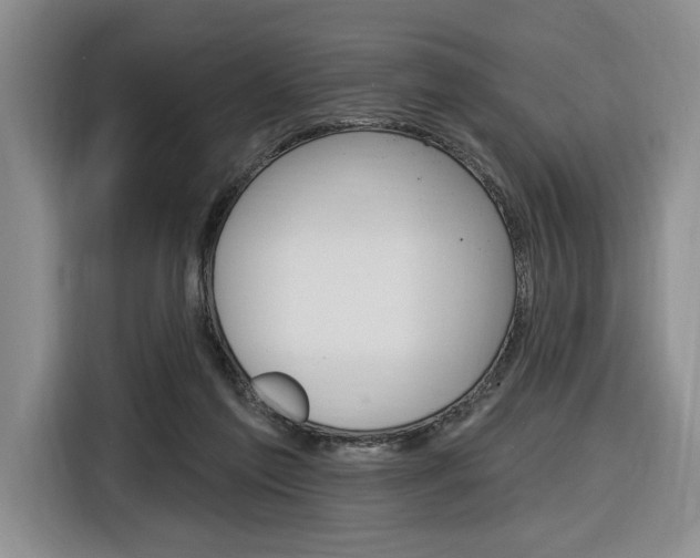 X0000116890213200912221011