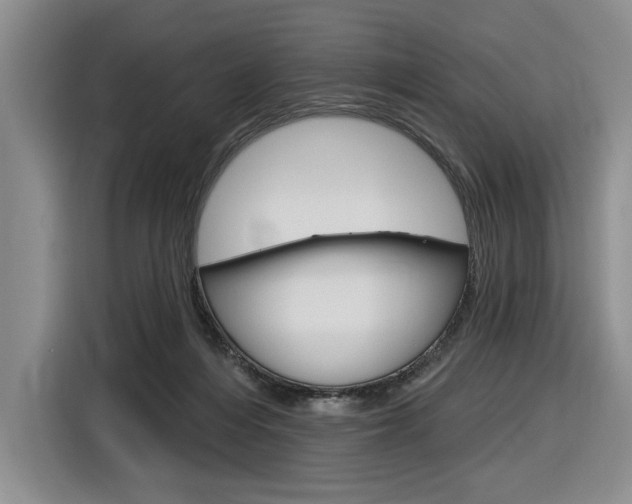 X0000116890216200912221011