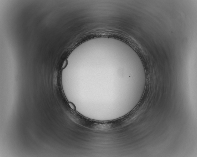 X0000116890217200912221011