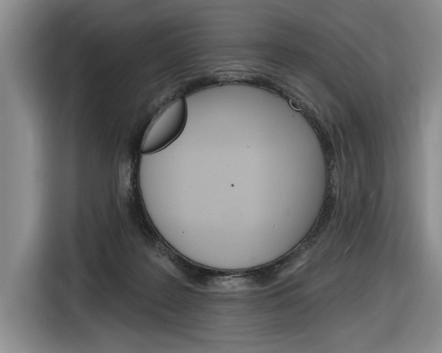 X0000116890219200912221010