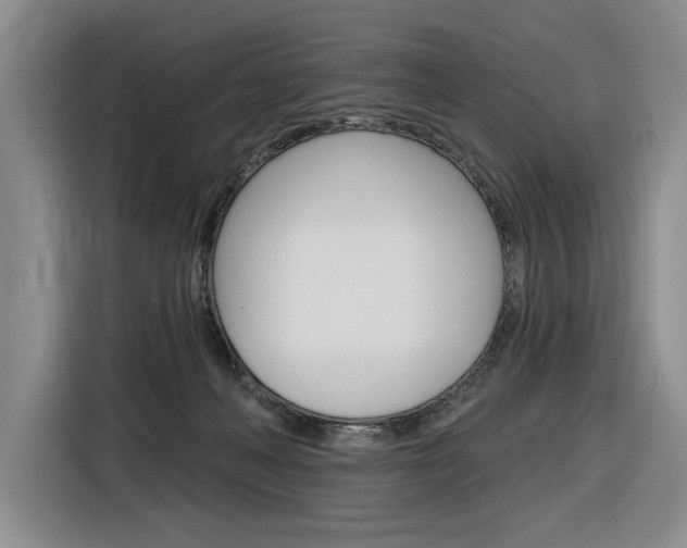 X0000116890222200912221010