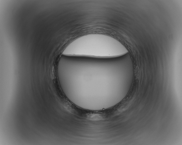 X0000116890224200912221010