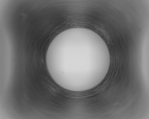 X0000116890225200912221010