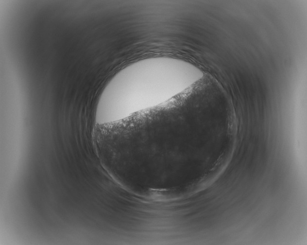 X0000116890226200912221010
