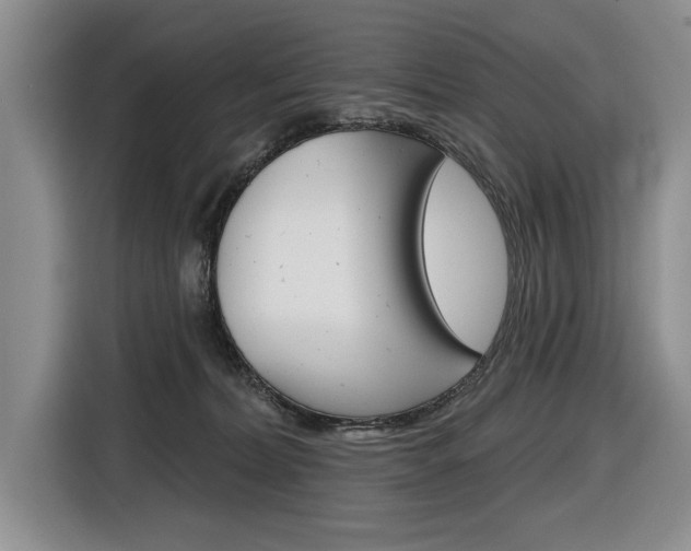 X0000116890228200912221010