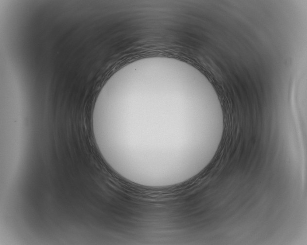 X0000116890229200912221010