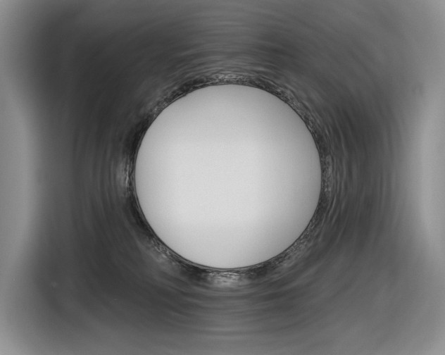 X0000116890230200912221010