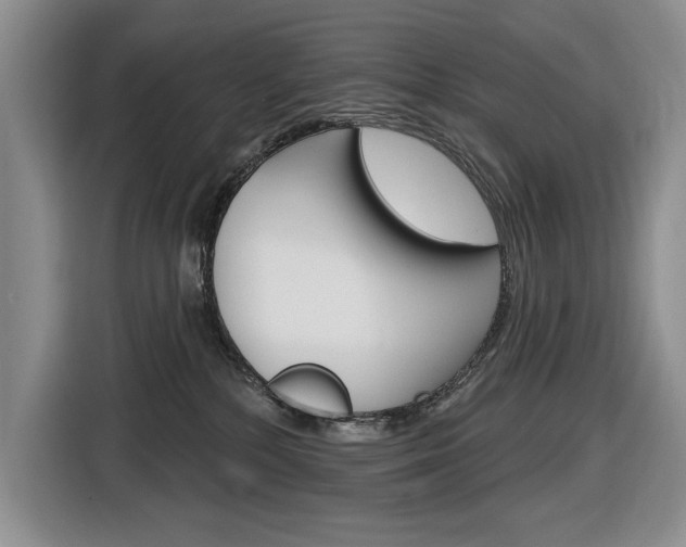 X0000116890232200912221010