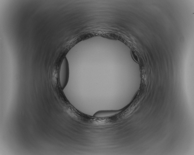 X0000116890235200912221010