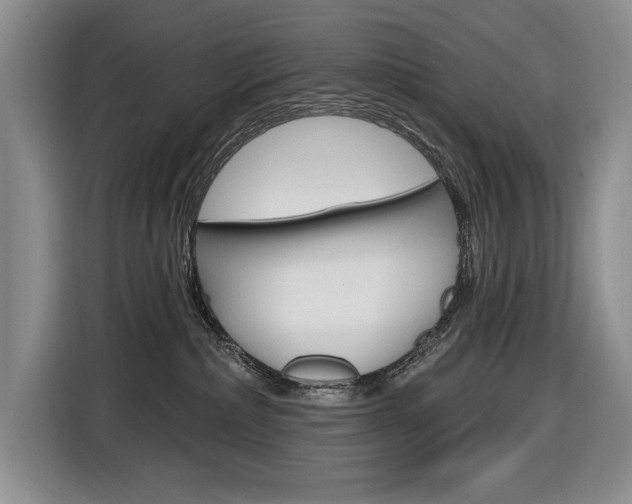 X0000116890236200912221010