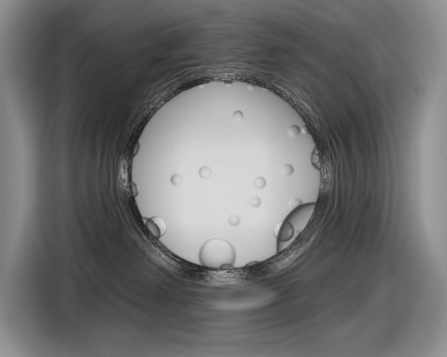 X0000116890238200912221010