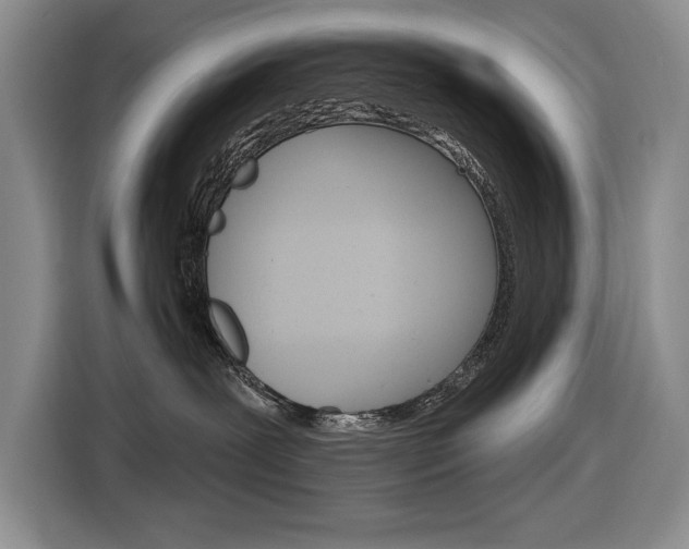 X0000116890239200912221010