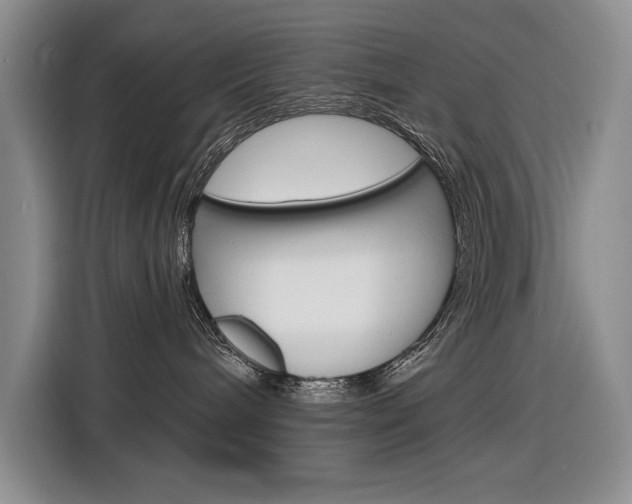 X0000116890240200912221010