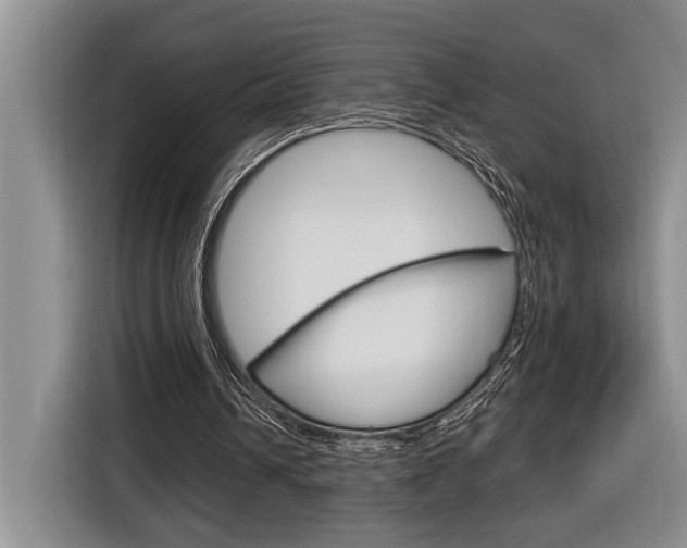 X0000116890242200912221010