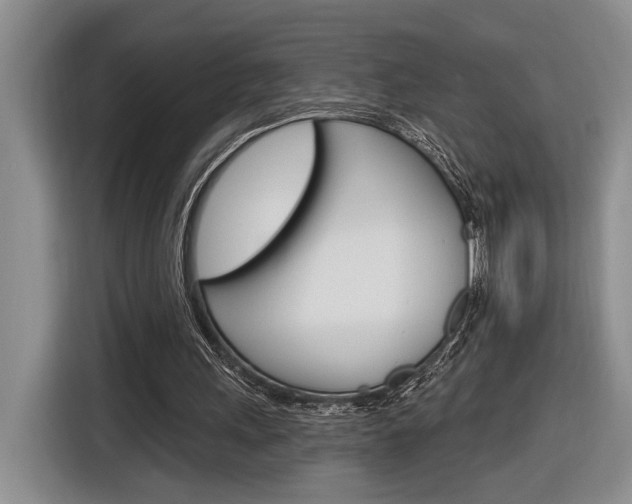 X0000116890243200912221010