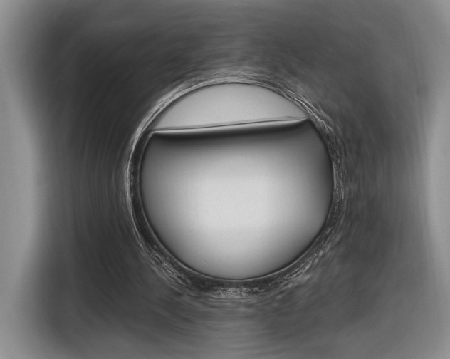 X0000116890244200912221010