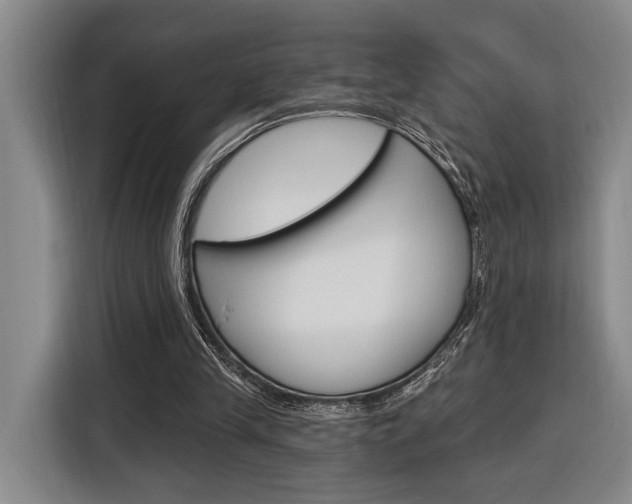 X0000116890245200912221010