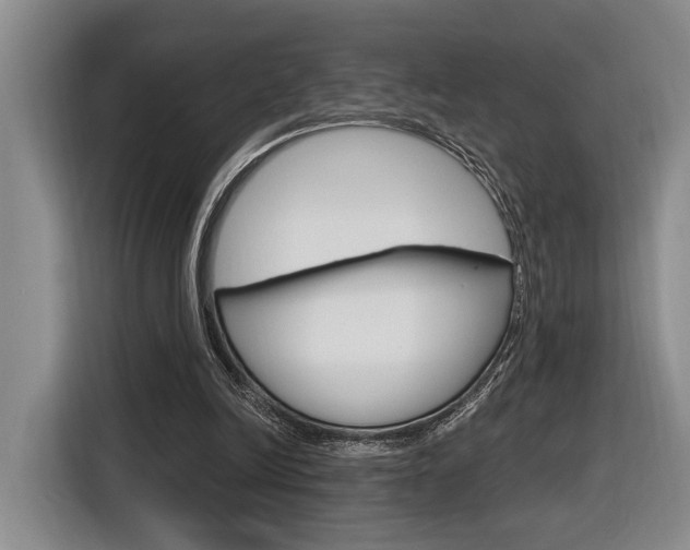 X0000116890246200912221010