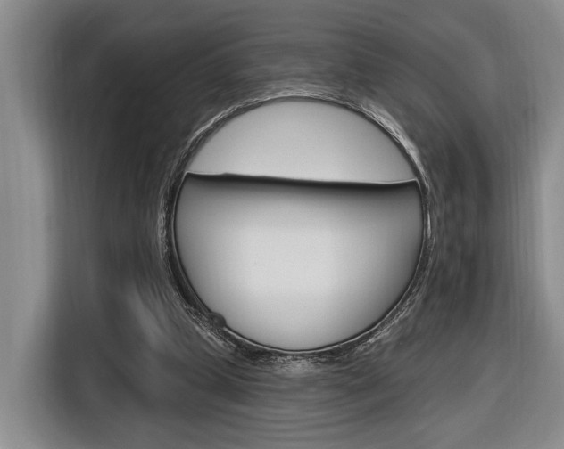 X0000116890249200912221010