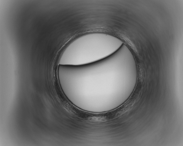 X0000116890251200912221010