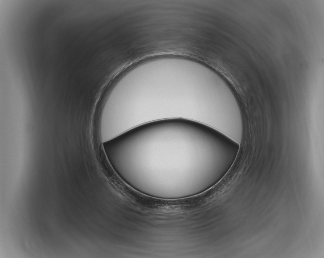 X0000116890252200912221010