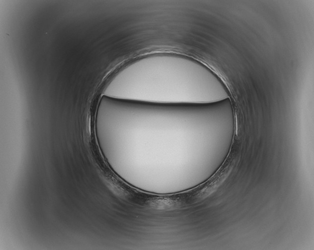 X0000116890253200912221010