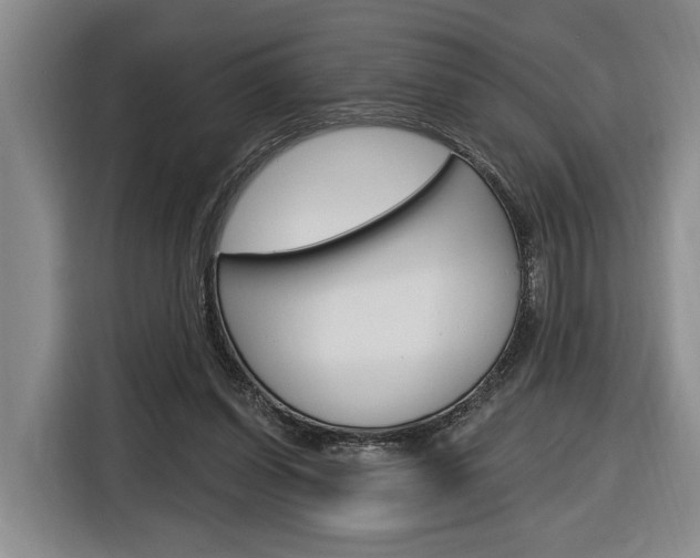 X0000116890254200912221010