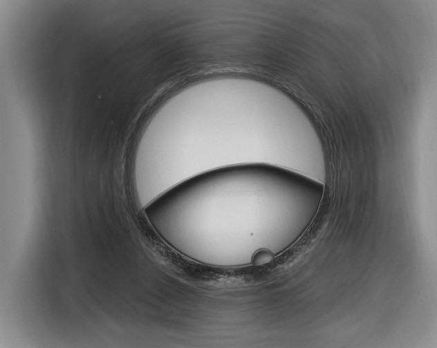 X0000116890256200912221010
