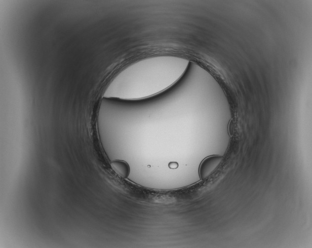 X0000116890258200912221010