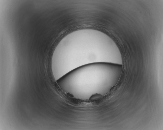 X0000116890260200912221010