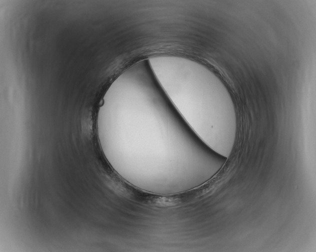 X0000116890261200912221010