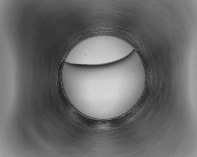 X0000116890263200912221010