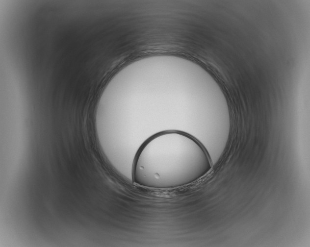 X0000116890264200912221010